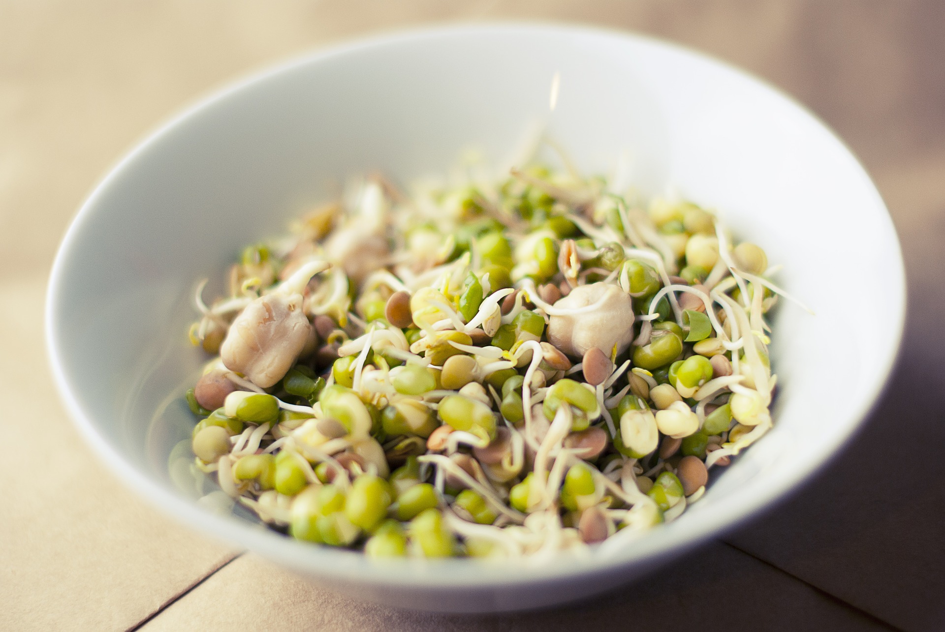 bowl of sprouts -Global Menopause Perspectives and Cultural Variations