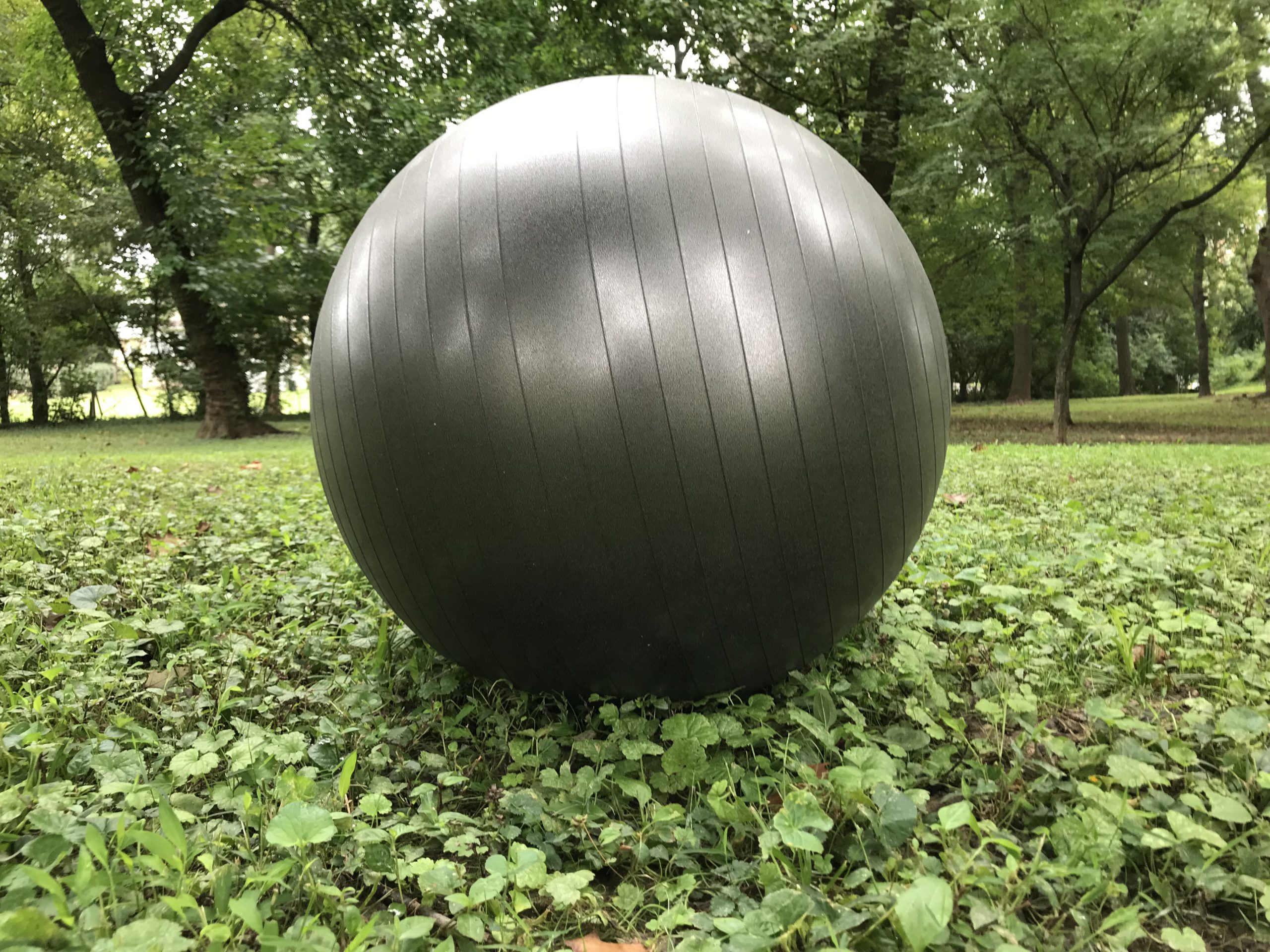 How To Make The Most Of Owning An Exercise Ball - big silver ball