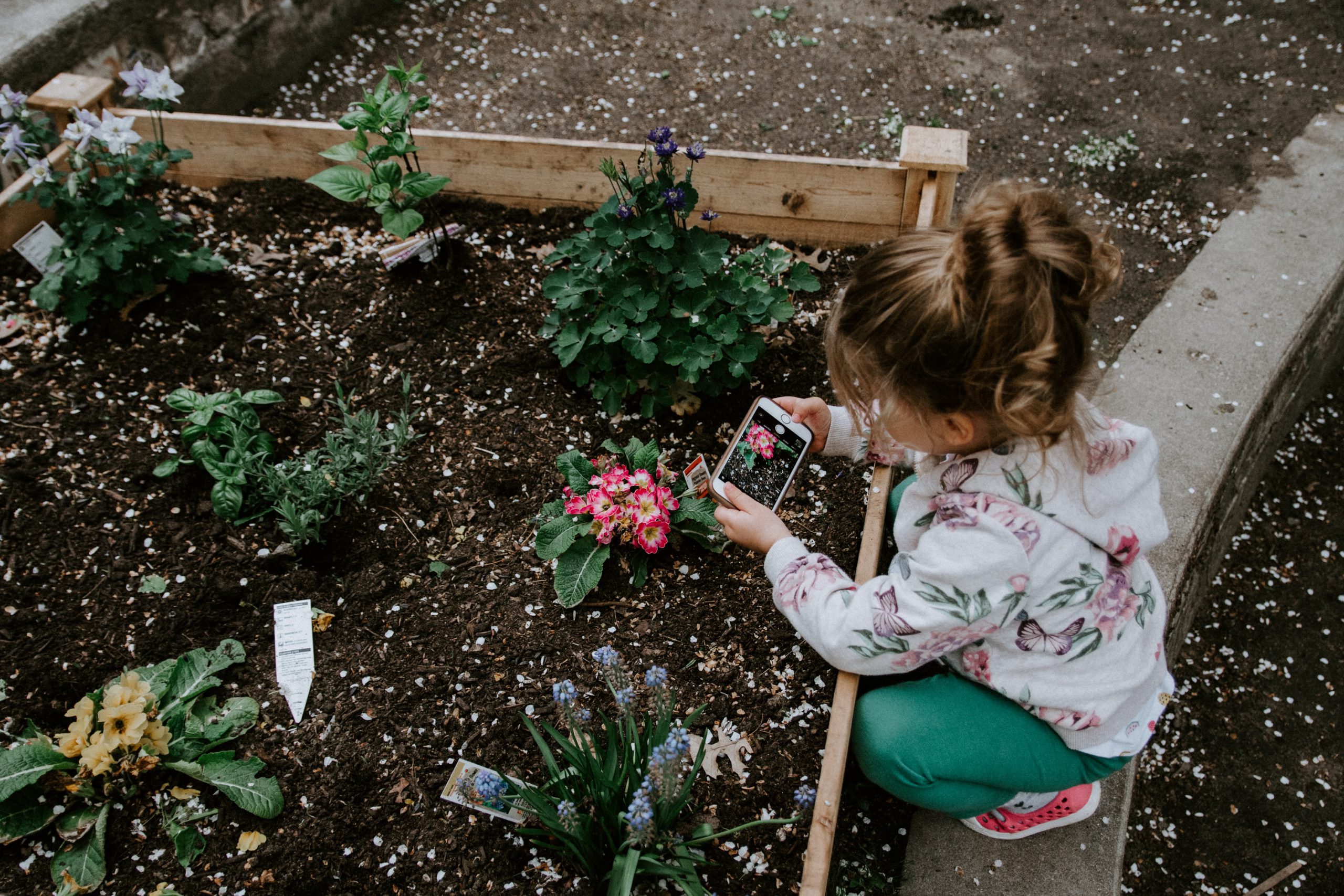 young girl planting seeds in garden - heike yates