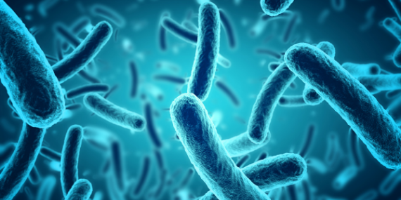 bacteria irritation microscopic colitis - How to manage Microscopic Colitis - heike yates