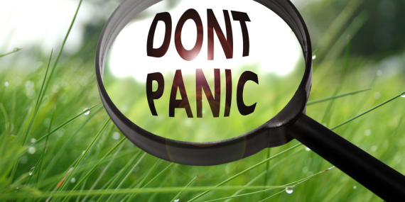 5 Essential Bone Health Strategies In Midlife - magnifying glass saying don't panic